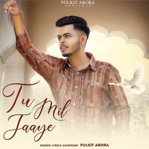 Tu Mil Jaaye Pulkit Arora mp3 song ringtone, Tu Mil Jaaye Pulkit Arora Ringtone Download - RiskyJatt.Com