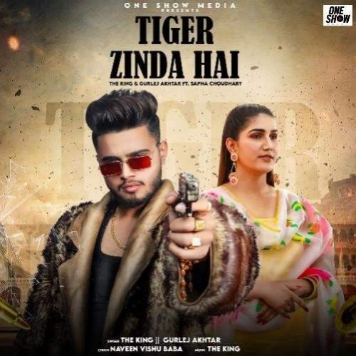 Tiger Zinda Hai The King, Gurlej Akhtar mp3 song ringtone, Tiger Zinda Hai The King, Gurlej Akhtar Ringtone Download - RiskyJatt.Com