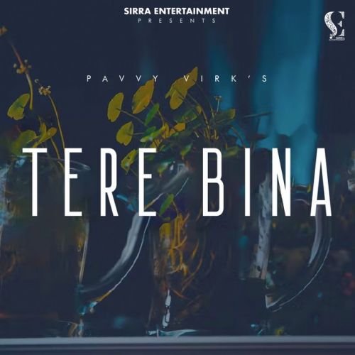 Tere Bina Pavvy Virk mp3 song ringtone, Tere Bina Pavvy Virk Ringtone Download - RiskyJatt.Com