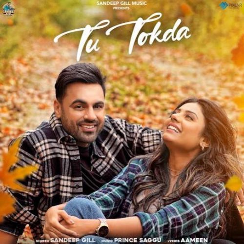 Tu Tokda Sandeep Gill mp3 song ringtone, Tu Tokda Sandeep Gill Ringtone Download - RiskyJatt.Com