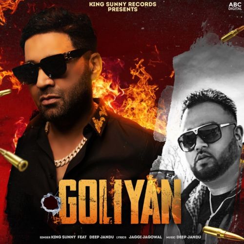 Goliyan King Sunny mp3 song ringtone, Goliyan King Sunny Ringtone Download - RiskyJatt.Com