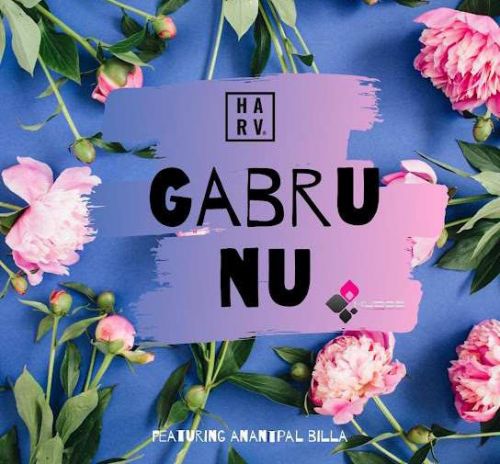 Gabru Nu DJ Harv mp3 song ringtone, Gabru Nu DJ Harv Ringtone Download - RiskyJatt.Com