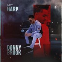 Donnybrook Harp mp3 song ringtone, Donnybrook Harp Ringtone Download - RiskyJatt.Com