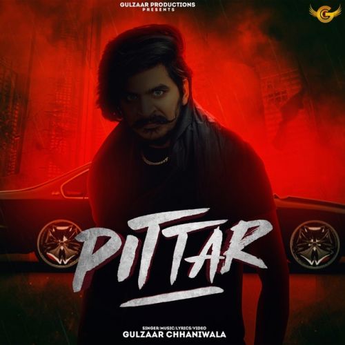 Pittar Gulzaar Chhaniwala mp3 song ringtone, Pittar Gulzaar Chhaniwala Ringtone Download - RiskyJatt.Com