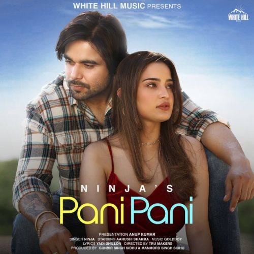 Pani Pani Ninja mp3 song ringtone, Pani Pani Ninja Ringtone Download - RiskyJatt.Com