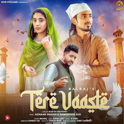 Tere Vaaste Balraj mp3 song ringtone, Tere Vaaste Balraj Ringtone Download - RiskyJatt.Com