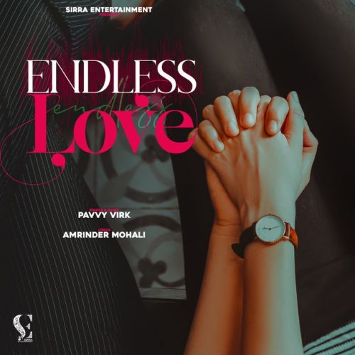 Endless Love Pavvy Virk mp3 song ringtone, Endless Love Pavvy Virk Ringtone Download - RiskyJatt.Com