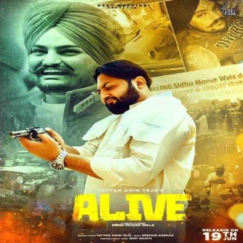 ALive Tayyab Amin Teja mp3 song ringtone, ALive Tayyab Amin Teja Ringtone Download - RiskyJatt.Com