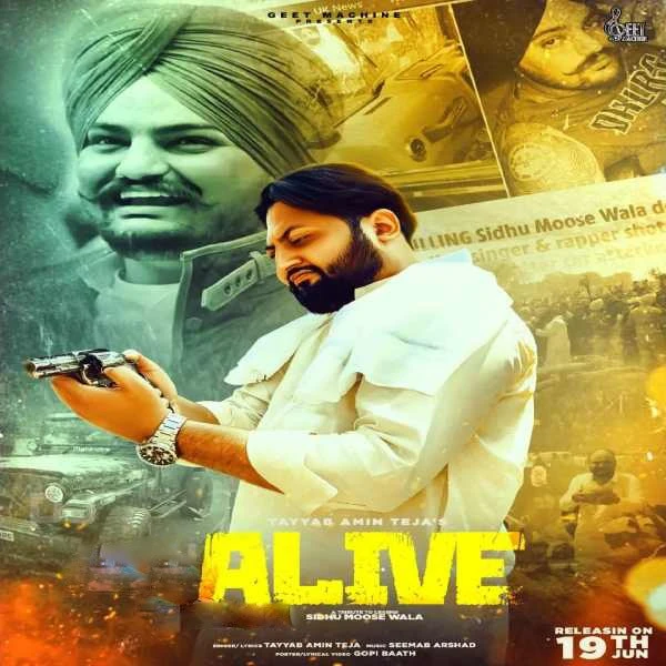 Tayyab Amin Teja New Songs and Top 20 Albums
