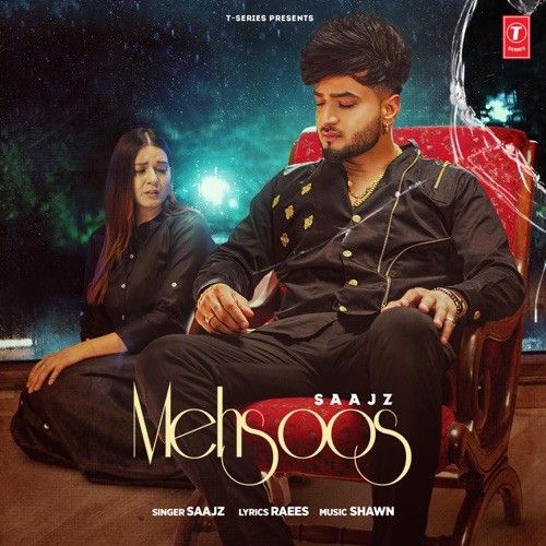 Mehsoos Saajz mp3 song ringtone, Mehsoos Saajz Ringtone Download - RiskyJatt.Com