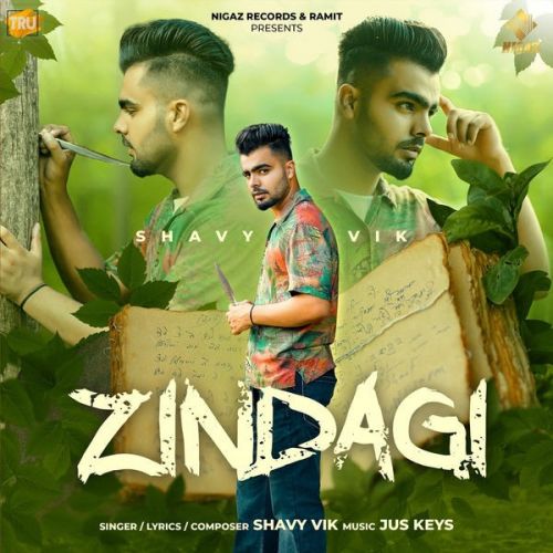 Zindagi Shavy Vik mp3 song ringtone, Zindagi Shavy Vik Ringtone Download - RiskyJatt.Com