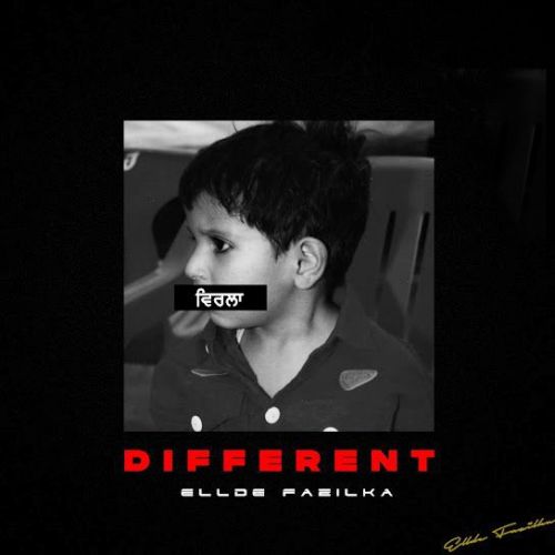 Ammo Ellde Fazilka mp3 song ringtone, Different (Mix Tape) Ellde Fazilka Ringtone Download - RiskyJatt.Com