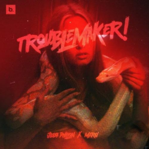 Trouble Maker Jassa Dhillon mp3 song ringtone, Trouble Maker Jassa Dhillon Ringtone Download - RiskyJatt.Com