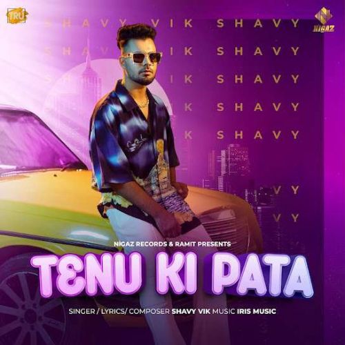 Tenu Ki Pata Shavy Vik mp3 song ringtone, Tenu Ki Pata Shavy Vik Ringtone Download - RiskyJatt.Com