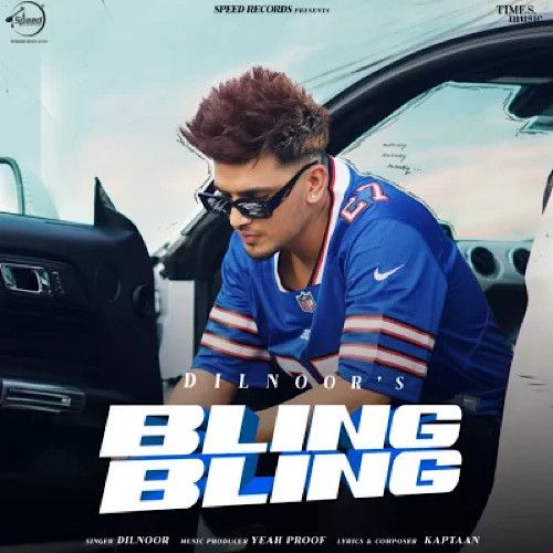 Bling Bling Dilnoor mp3 song ringtone, Bling Bling Dilnoor Ringtone Download - RiskyJatt.Com