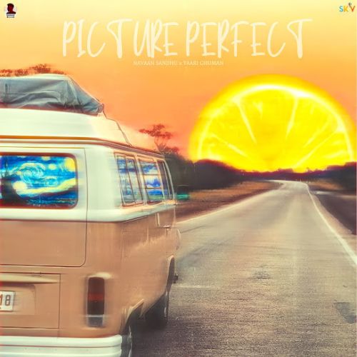 Picture Perfect Navaan Sandhu mp3 song ringtone, Picture Perfect Navaan Sandhu Ringtone Download - RiskyJatt.Com