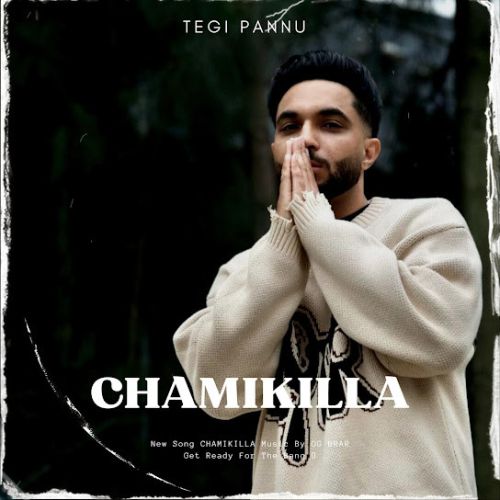 Chamikilla Tegi Pannu mp3 song ringtone, Chamikilla Tegi Pannu Ringtone Download - RiskyJatt.Com