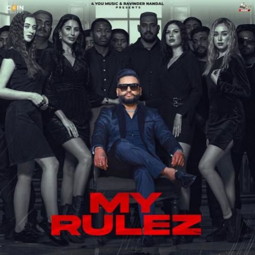 My Rulez DJ Flow mp3 song ringtone, My Rulez DJ Flow Ringtone Download - RiskyJatt.Com