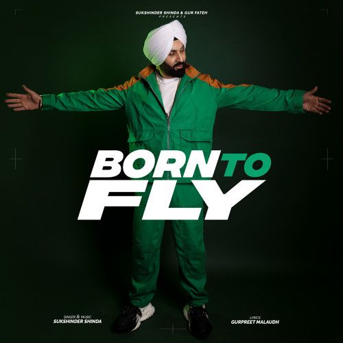 Born To Fly Sukshinder Shinda mp3 song ringtone, Born To Fly Sukshinder Shinda Ringtone Download - RiskyJatt.Com