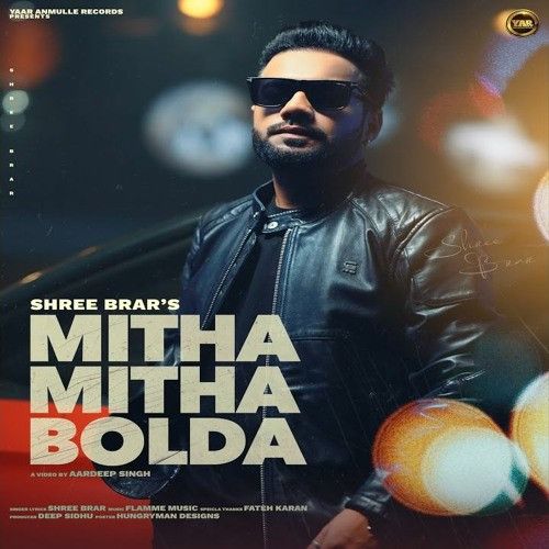 Mitha Mitha Bolda Shree Brar mp3 song ringtone, Mitha Mitha Bolda Shree Brar Ringtone Download - RiskyJatt.Com