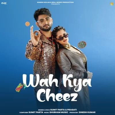 Wah Kya Cheez Sumit Parta, Pragati mp3 song ringtone, Wah Kya Cheez Sumit Parta, Pragati Ringtone Download - RiskyJatt.Com