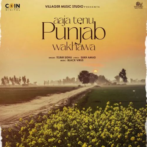 Aaja Tenu Punjab Wakhawa Tejbir Sidhu mp3 song ringtone, Aaja Tenu Punjab Wakhawa Tejbir Sidhu Ringtone Download - RiskyJatt.Com