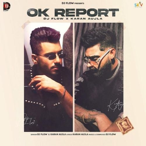 Ok Report DJ Flow mp3 song ringtone, Ok Report DJ Flow Ringtone Download - RiskyJatt.Com