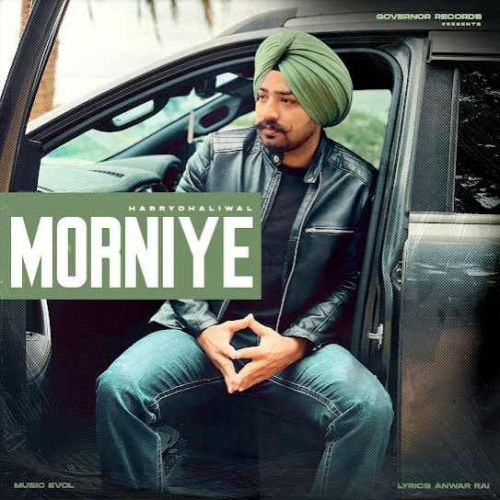 Morniye Harry Dhaliwal mp3 song ringtone, Morniye Harry Dhaliwal Ringtone Download - RiskyJatt.Com