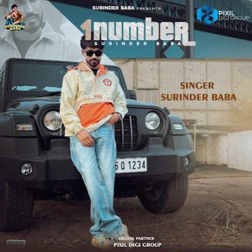 1 Number Surinder Baba mp3 song ringtone, 1 Number Surinder Baba Ringtone Download - RiskyJatt.Com