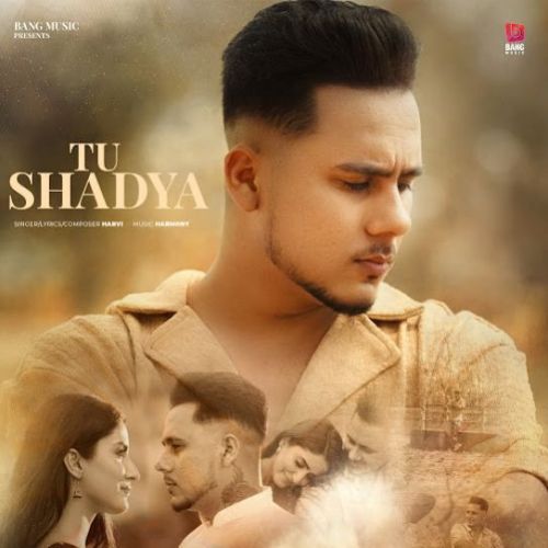 Tu Shadya Harvi mp3 song ringtone, Tu Shadya Harvi Ringtone Download - RiskyJatt.Com