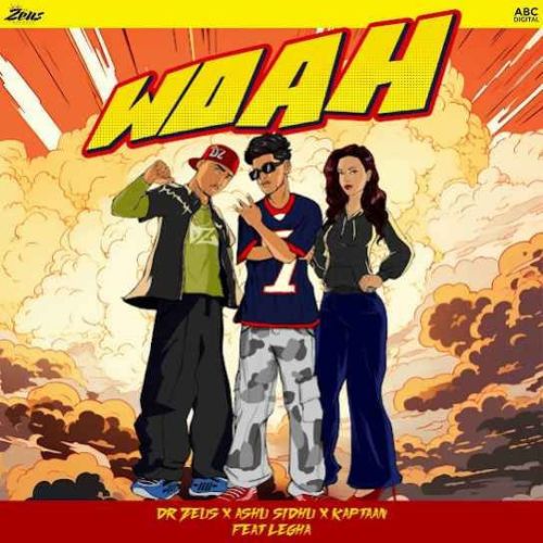 Woah Ashu Sidhu mp3 song ringtone, Woah Ashu Sidhu Ringtone Download - RiskyJatt.Com