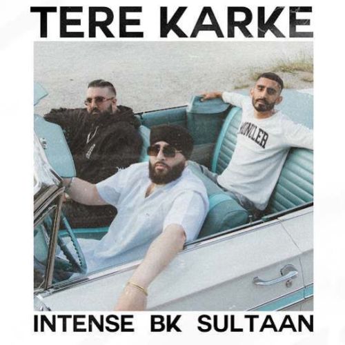 Tere Karke BK, Sultaan mp3 song ringtone, Tere Karke BK, Sultaan Ringtone Download - RiskyJatt.Com