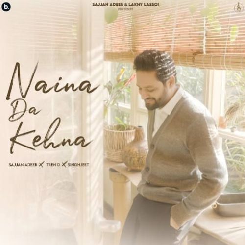 Naina Da Kehna Sajjan Adeeb mp3 song ringtone, Naina Da Kehna Sajjan Adeeb Ringtone Download - RiskyJatt.Com