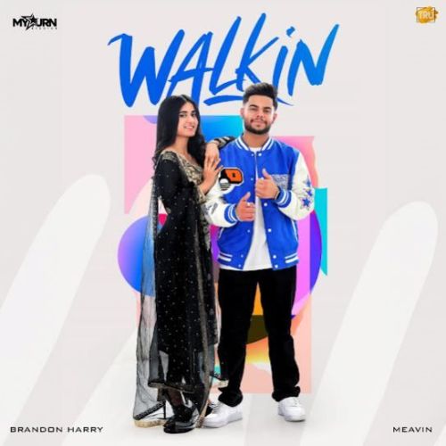 Walkin Brandon Harry mp3 song ringtone, Walkin Brandon Harry Ringtone Download - RiskyJatt.Com