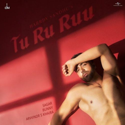 Tu Ru Ruu Harrdy Sandhu mp3 song ringtone, Tu Ru Ruu Harrdy Sandhu Ringtone Download - RiskyJatt.Com