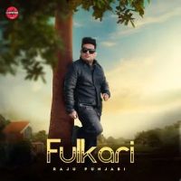 Fulkari Raju Punjabi mp3 song ringtone, Fulkari Raju Punjabi Ringtone Download - RiskyJatt.Com