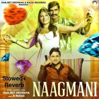 Seene Se Laga Ke Rakhu Harjeet Deewana mp3 song ringtone, Seene Se Laga Ke Rakhu Harjeet Deewana Ringtone Download - RiskyJatt.Com