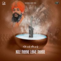 Nile Baane Lame Daare Manjit Singh Sohi mp3 song ringtone, Nile Baane Lame Daare Manjit Singh Sohi Ringtone Download - RiskyJatt.Com