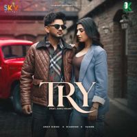 Try Arav Sidhu mp3 song ringtone, Try Arav Sidhu Ringtone Download - RiskyJatt.Com