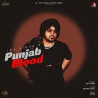 Punjab Blood Jot Sidhu mp3 song ringtone, Punjab Blood Jot Sidhu Ringtone Download - RiskyJatt.Com