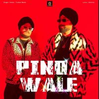 Turban Beats new songs on riskyjatt. Download Turban Beats albums and top 20 songs