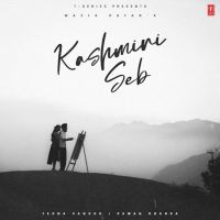 Kashmiri Seb Wazir Patar mp3 song ringtone, Kashmiri Seb Wazir Patar Ringtone Download - RiskyJatt.Com