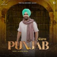 Punjab Ravinder Grewal mp3 song ringtone, Punjab Ravinder Grewal Ringtone Download - RiskyJatt.Com