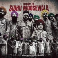 Tribute To Sidhu Moosewala Emiway Bantai, Sidhu Moosewala mp3 song ringtone, Tribute To Sidhu Moosewala Emiway Bantai, Sidhu Moosewala Ringtone Download - RiskyJatt.Com