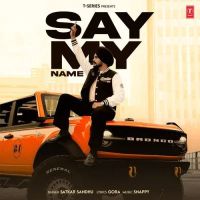 Say My Name Satkar Sandhu mp3 song ringtone, Say My Name Satkar Sandhu Ringtone Download - RiskyJatt.Com