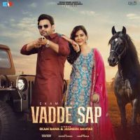 Vadde Sap Ekam Bawa mp3 song ringtone, Vadde Sap Ekam Bawa Ringtone Download - RiskyJatt.Com