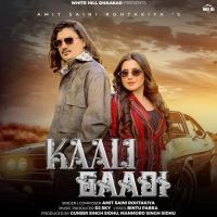 Kaali Gaadi Amit Saini Rohtakiya mp3 song ringtone, Kaali Gaadi Amit Saini Rohtakiya Ringtone Download - RiskyJatt.Com