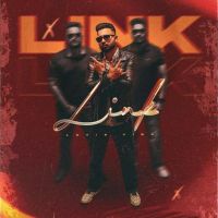 Link Lovie Virk mp3 song ringtone, Link Lovie Virk Ringtone Download - RiskyJatt.Com