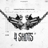 DWC (Dont Worry Chick) Tarsem Jassar mp3 song ringtone, 4 Shots Tarsem Jassar Ringtone Download - RiskyJatt.Com