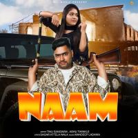 Naam Ashu Twinkle mp3 song ringtone, Naam Ashu Twinkle Ringtone Download - RiskyJatt.Com